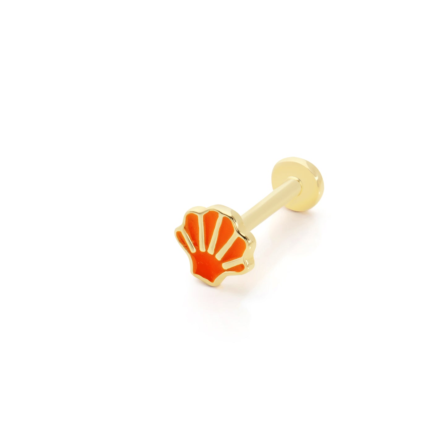 14K Altın Deniz Kabuğu Tragus Küpe
