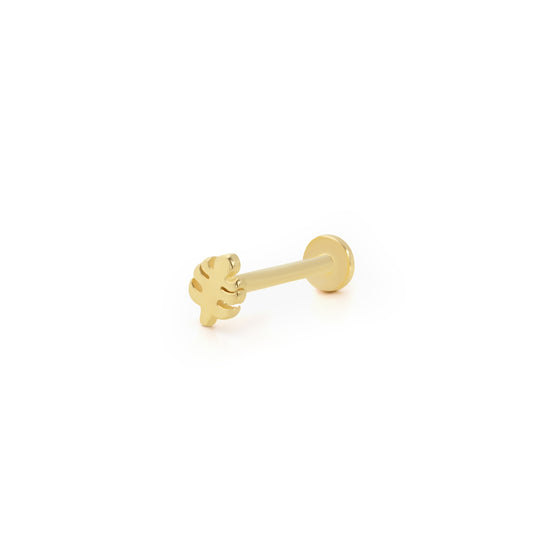 14K Altın Tragus Küpe