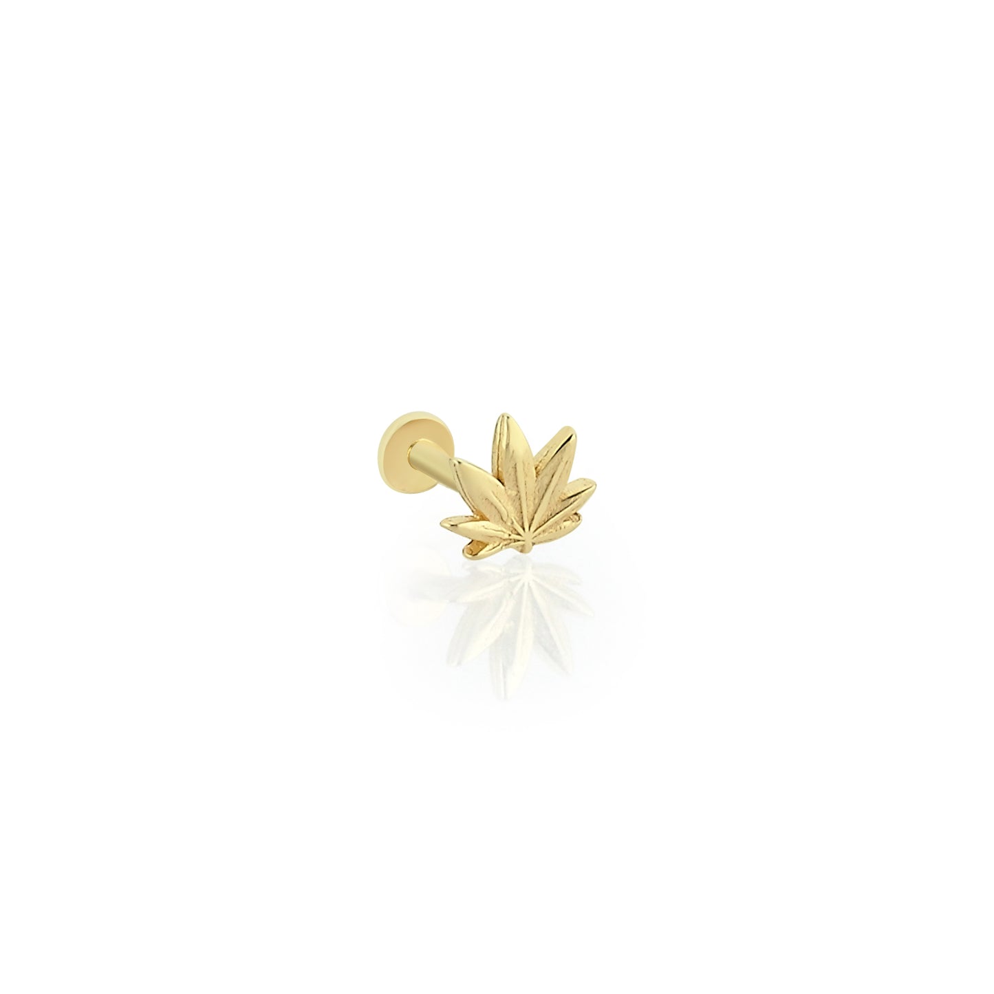 14K Altın Yaprak Tragus Küpe